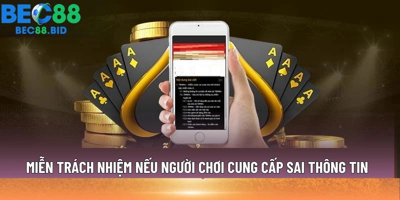 Miễn trách nhiệm nếu người chơi cung cấp sai thông tin
