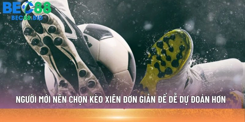 Người mới nên chọn kèo xiên đơn giản để dễ dự đoán hơn