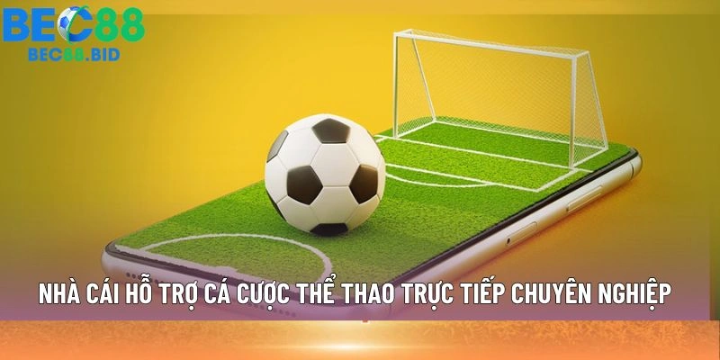 Nhà cái hỗ trợ cá cược thể thao trực tiếp chuyên nghiệp