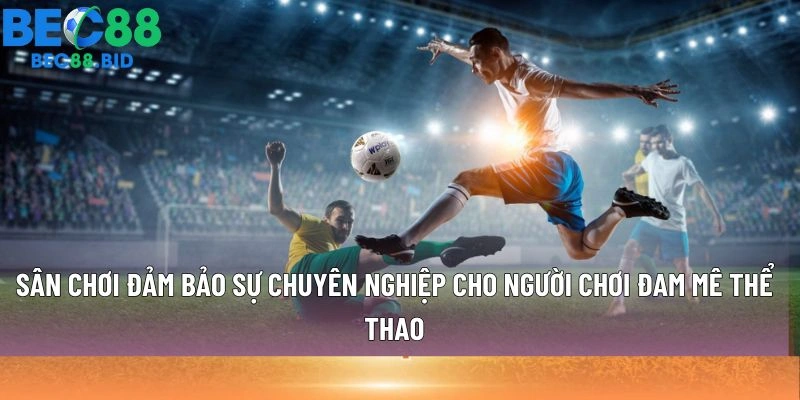 Sân chơi đảm bảo sự chuyên nghiệp cho người chơi đam mê thể thao