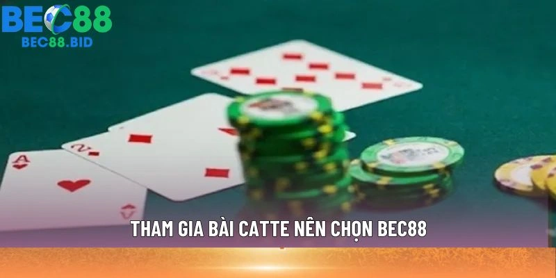 Tham gia bài Catte nên chọn BEC88